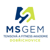 MSGEM